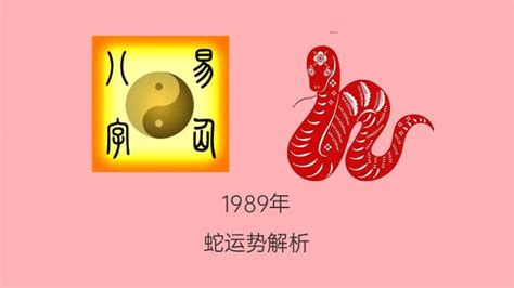 1989是什么蛇|1989年出生属什么生肖 1989年属蛇是什么命